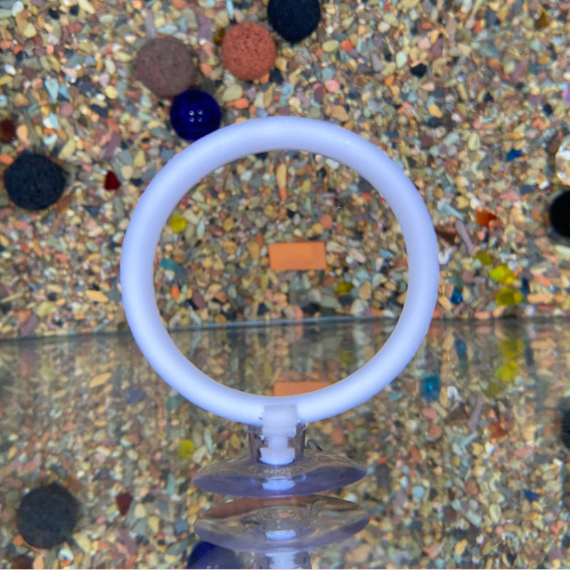 Gymnastics Rings - 1개 플라스틱 어항 수족관 인공 훈련
