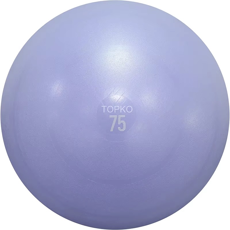 YTYIN TOPKO 요가볼 운동볼, 5가지 사이즈 짐 - Exercise Ball Stability 리뷰 및 가격